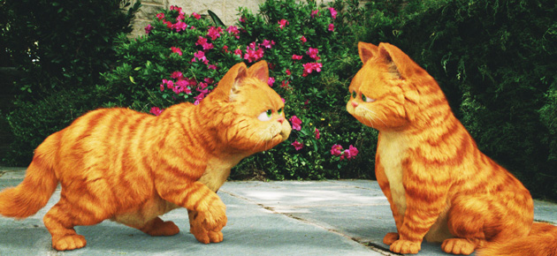Garfield a Tail of Two Kitties